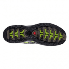 SALOMON XA PRO 3D GTX W