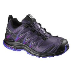 SALOMON XA PRO 3D GTX W