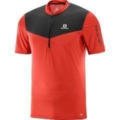 SALOMON FAST WING HZ SS TEE